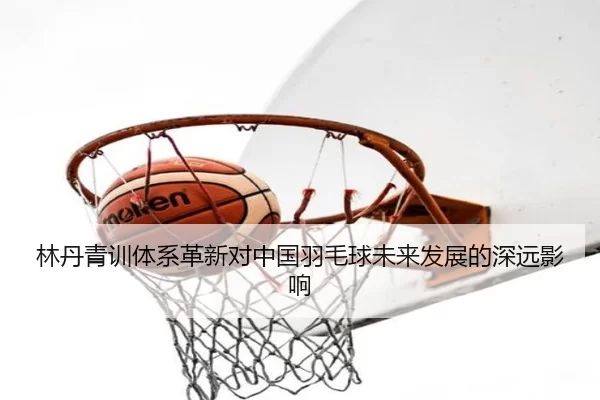 林丹青训体系革新对中国羽毛球未来发展的深远影响